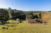 17 McAuleys Lane, Myocum, NSW 2481-Image