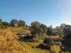 17 McAuleys Lane, Myocum, NSW 2481-Image