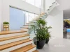 17 Medora Street, Cabarita, NSW 2137-Image