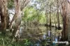 17 Melaleuca Court, Redridge, Qld 4660-Image