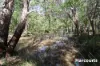 17 Melaleuca Court, Redridge, Qld 4660-Image