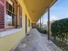 17 Mitchell Street, Camden, NSW 2570-Image