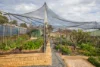 17 Monks Avenue, Littlehampton, SA 5250-Image