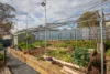 17 Monks Avenue, Littlehampton, SA 5250-Image
