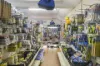 17 Mulgrave Street, Gin Gin, Qld 4671-Image