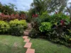 17 Murphy Street, Gordonvale, Qld 4865-Image