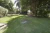 17 Murray Street, Tooleybuc, NSW 2736-Image