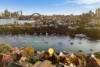 17 Musgrave Street, Mosman, NSW 2088-Image