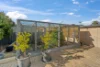 17 Nanovich Avenue, Girrawheen, WA 6064-Image
