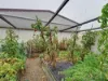 17 Nash Street, Sorell, Tas 7172-Image