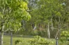 17 Nevada Place, Oxenford, Qld 4210-Image