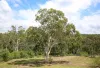 17 Norma Close, Bargo, NSW 2574-Image