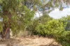17 Nowranie Place, Hillman, WA 6168-Image