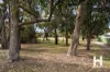 17 Oakleaf Circle, Mirrabooka, WA 6061-Image