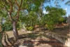 17 Oakwood Road, Balmoral, NSW 2283-Image