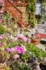 17 Ogilvie Street, Mount Stuart, Tas 7000-Image