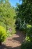 17 Ogilvie Street, Mount Stuart, Tas 7000-Image