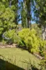 17 Ogilvie Street, Mount Stuart, Tas 7000-Image