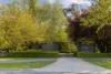 17 O'Hanlon Pl, Nicholls, ACT 2913-Image