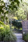 17 Old Forest Road, The Basin, Vic 3154-Image