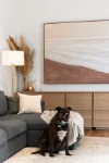 17 Old Forest Road, The Basin, Vic 3154-Image