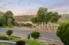 17 Old Sheoak Court, Highbury, SA 5089-Image