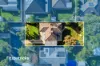 17 Osborne Avenue, Kooringal, NSW 2650-Image