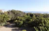 17 Paradise Drive, St Andrews Beach, Vic 3941-Image