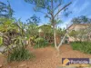 17 Paroa Avenue, Lemon Tree Passage, NSW 2319-Image