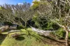17 Pitta Place, Burleigh Waters, Qld 4220-Image