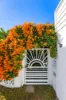 17 Pitta Place, Burleigh Waters, Qld 4220-Image