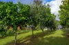 17 Power Street, Gympie, Qld 4570-Image