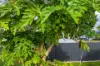 17 Power Street, Gympie, Qld 4570-Image