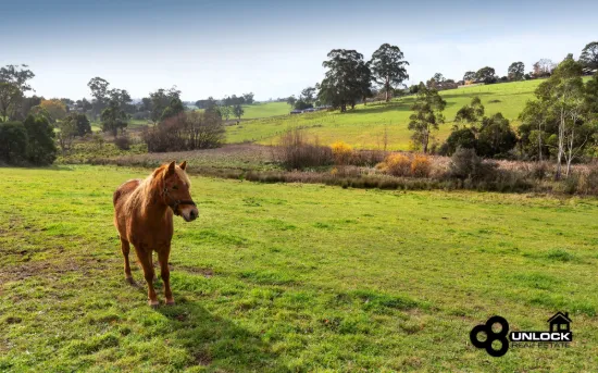 17 Princes Avenue, Drouin, Vic 3818-Image