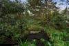 17 Radar Street, St Agnes, SA 5097-Image