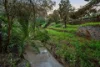 17 Radar Street, St Agnes, SA 5097-Image