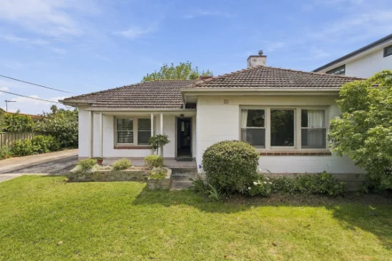 17 Ranelagh Street, Glengowrie, SA 5044