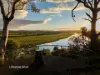 17 Ritchie Cresent, Taree, NSW 2430-Image
