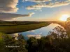 17 Ritchie Cresent, Taree, NSW 2430-Image