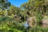 17 Riverway, Fulham Gardens, SA 5024-Image