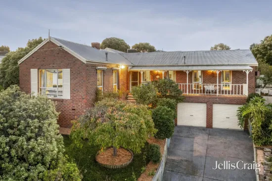 17 Rowan Court, Belmont, Vic 3216