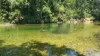 17 Ruby Crescent, Bulgun, Qld 4854-Image