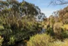 17 Rucker Street, Northcote, Vic 3070-Image