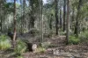 17 Sabina Drive, Molloy Island, WA 6290-Image