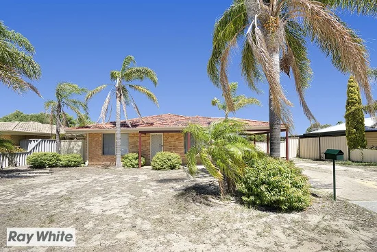 17 Salmongum Grove, Beechboro WA 6063-Image