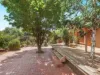 17 Sandover Circuit, Amaroo, ACT 2914-Image