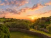 17 Seavista Court, Wynn Vale, SA 5127-Image