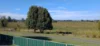 17 Short Street, Coraki, NSW 2471-Image