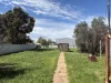 17 Sixth Street, Orroroo, SA 5431-Image