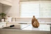17 Stanhope Road, Killara, NSW 2071-Image